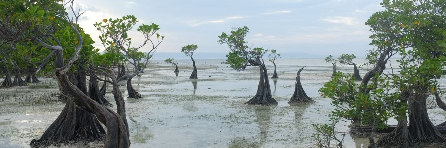 TransformNTB's profile banner image
