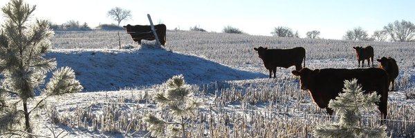 KansasDeptofAg Profile Banner