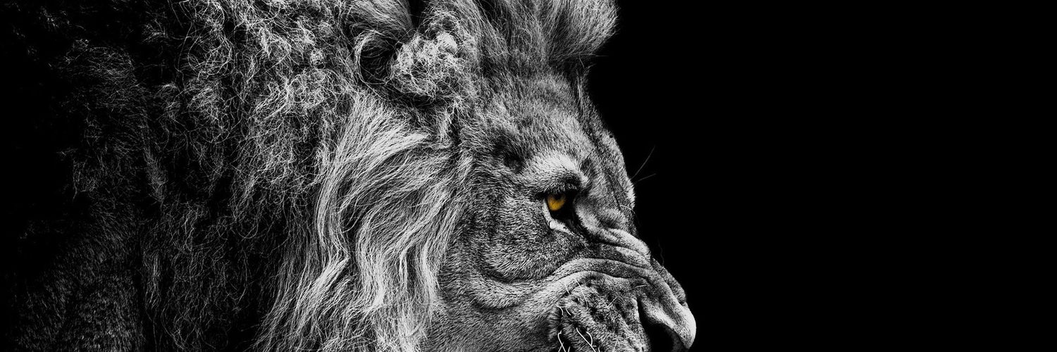 sub_Zerox's profile banner image