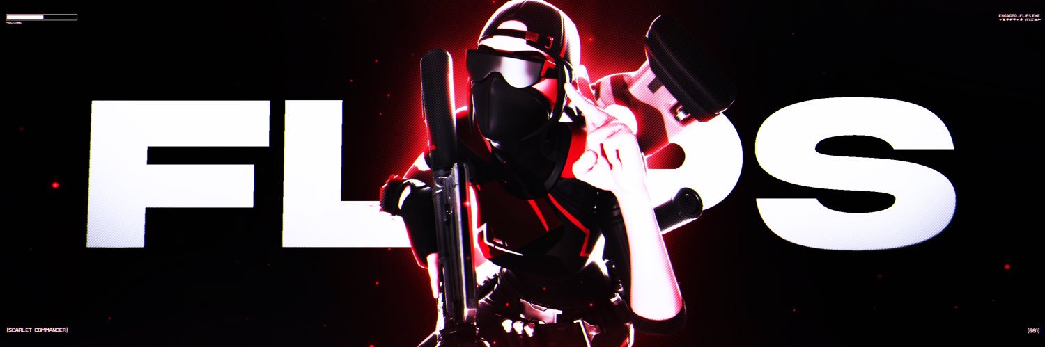 Flips banner