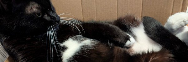 tim__64 Profile Banner