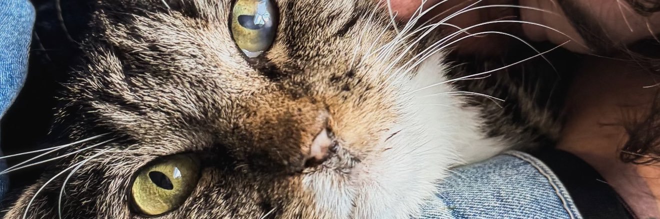 Tcrobin36's profile banner image