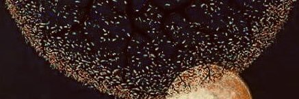 Luniquete's profile banner image