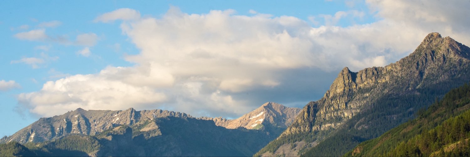 grappeppe's profile banner image