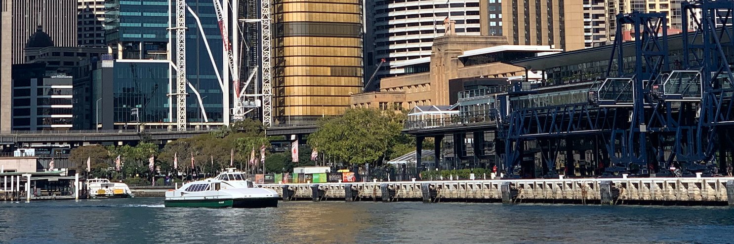 Sydney Times banner