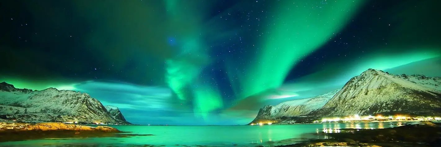 Elkan🦇🔊 banner