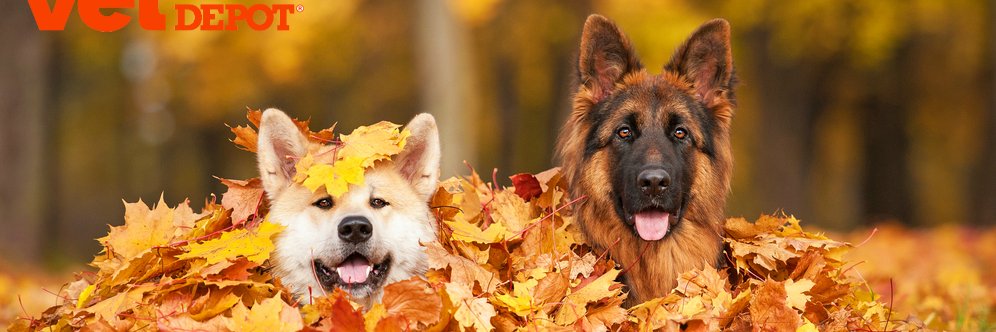 VetDepot's profile banner image