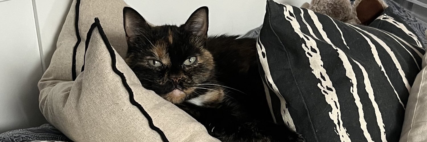 sleepylottie_'s profile banner image
