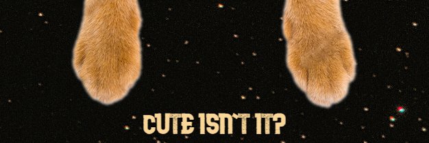 Strobicules's profile banner image