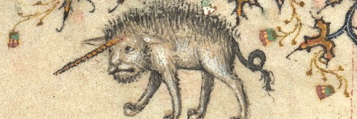 anchasta's profile banner image