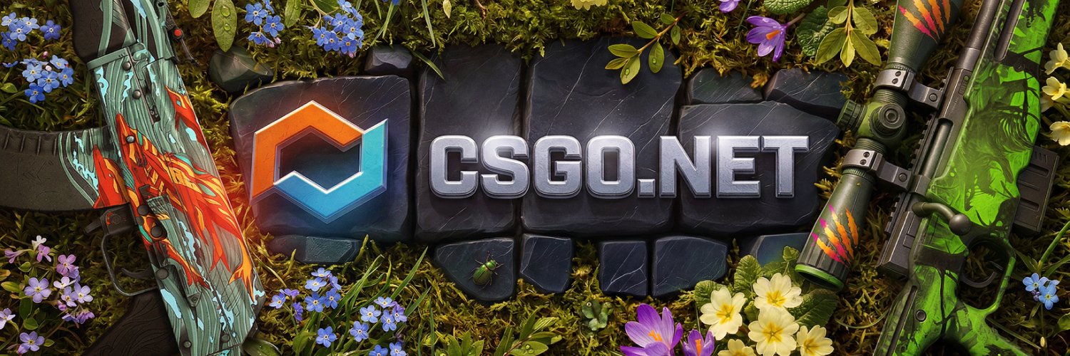 CSGO.net banner