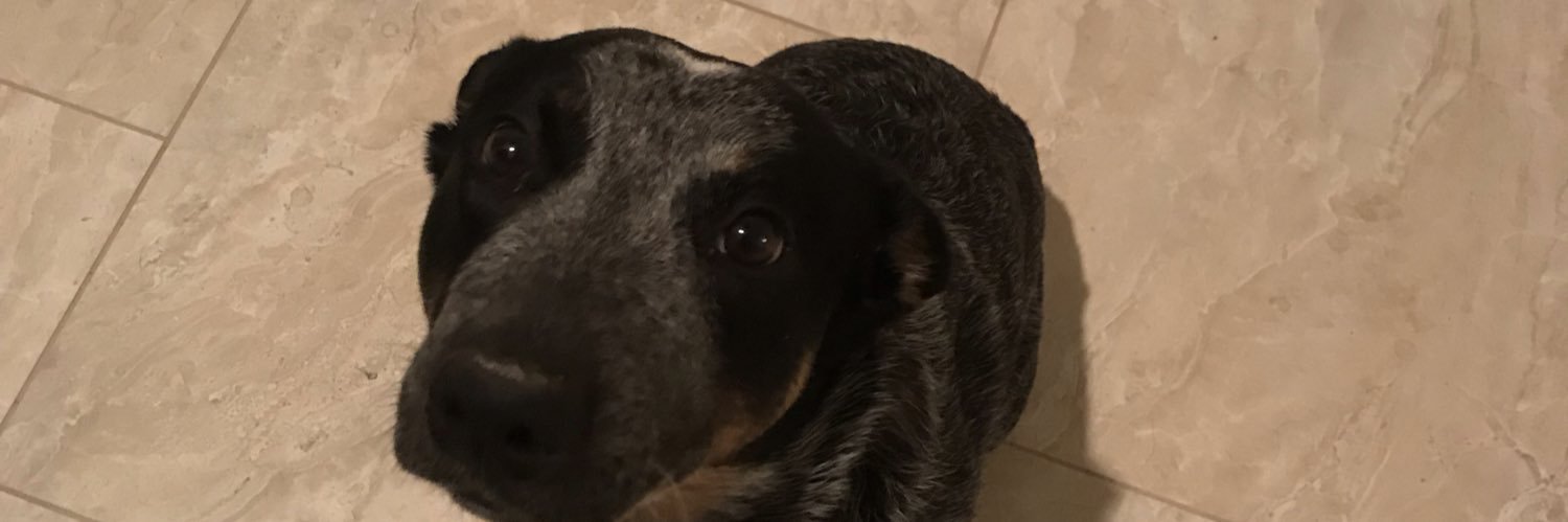 dancingjitters's profile banner image