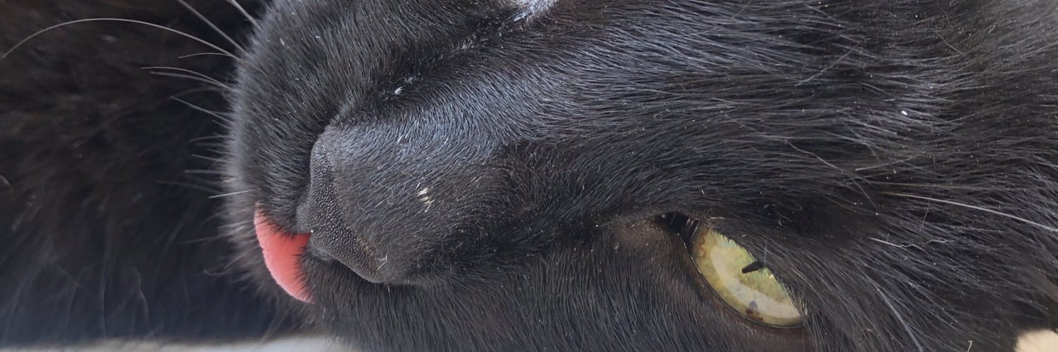 Tomimollo's profile banner image