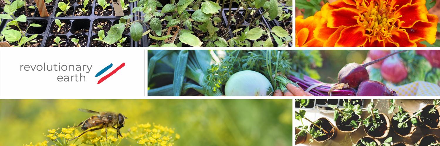 Revolutionary Earth banner