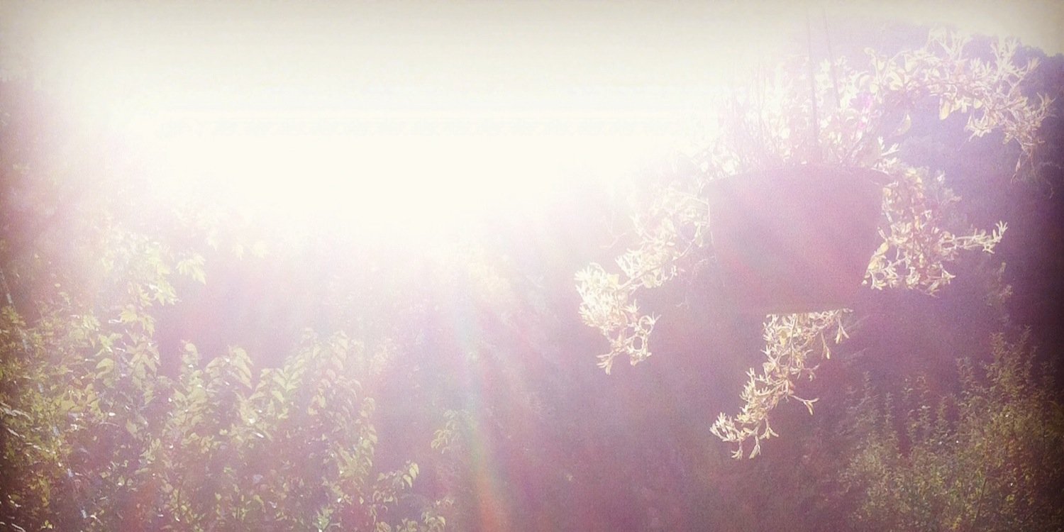 aycacik's profile banner image