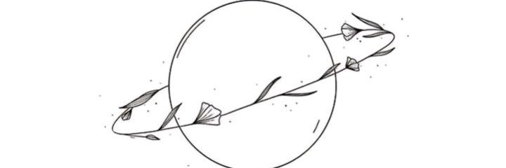 alexachavezbeta's profile banner image