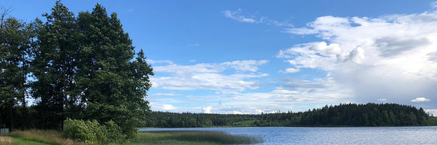 TPManboy's profile banner image