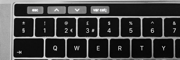 codingwcats Profile Banner