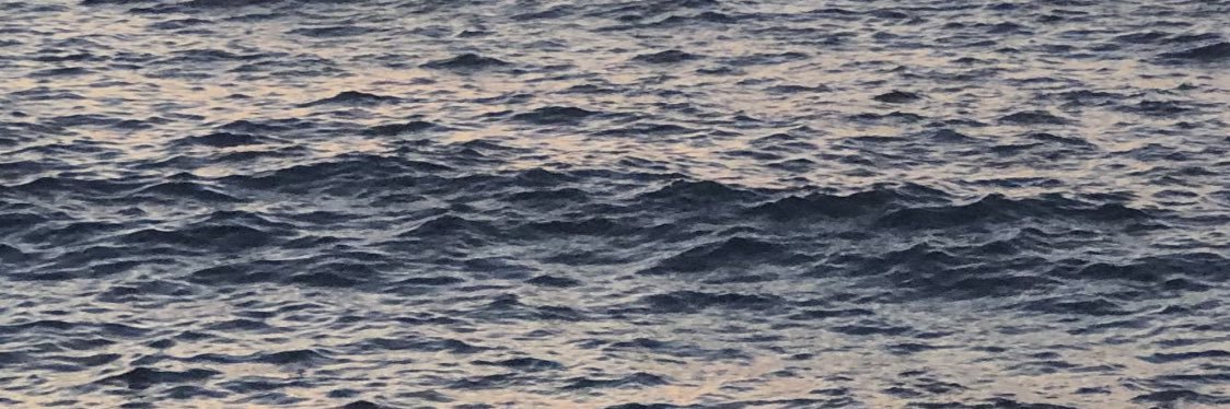 Victoire Radenne banner