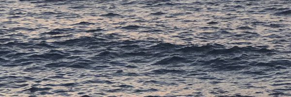 VictoireRadenne Profile Banner