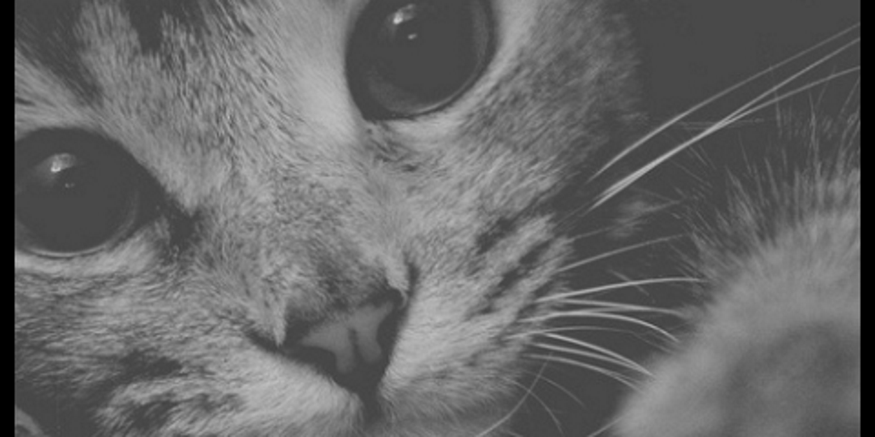 Josefa1097's profile banner image