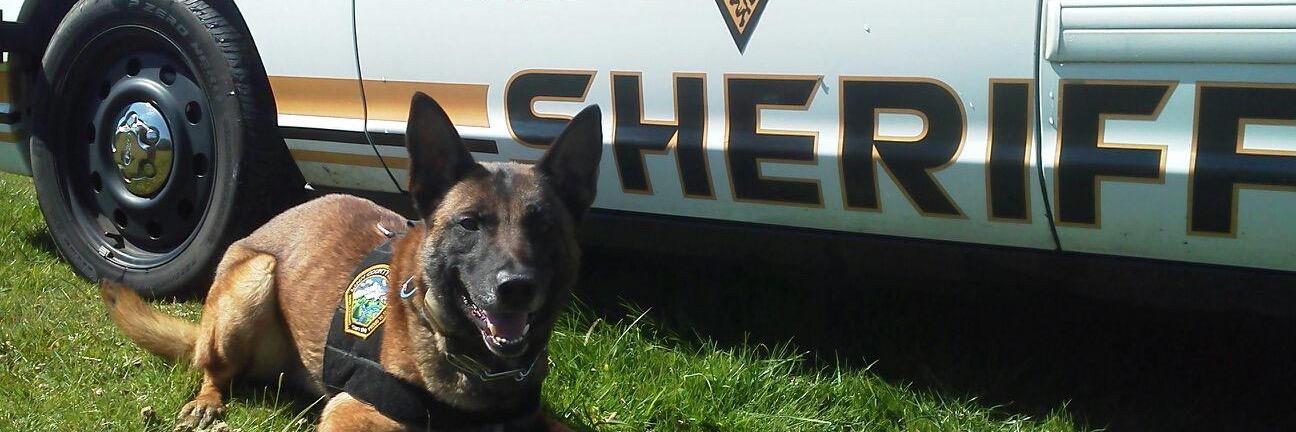 LinnCountySO's profile banner image