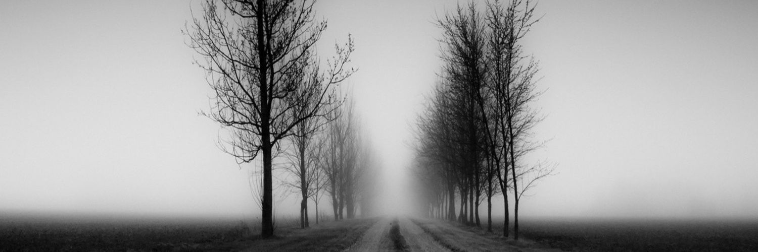 AllenMorrill's profile banner image