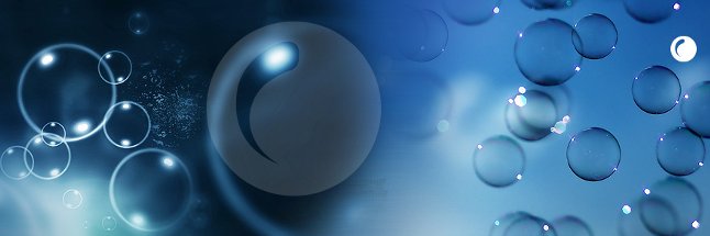 Frederik Rosseel banner