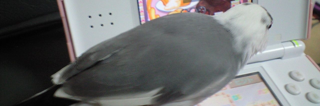 一月(ひづき) banner