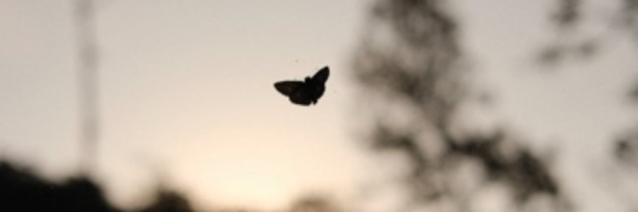 rafaella_giulia's profile banner image