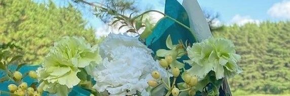 kamei85's profile banner image