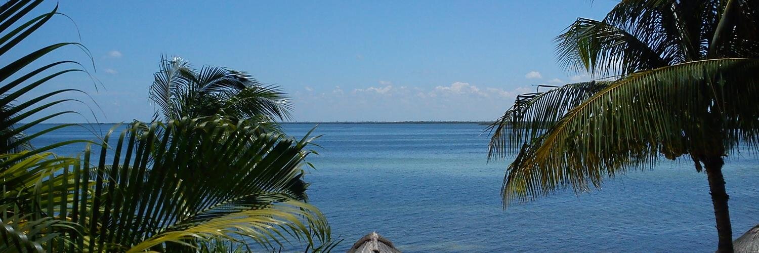 Sergio Hernández banner