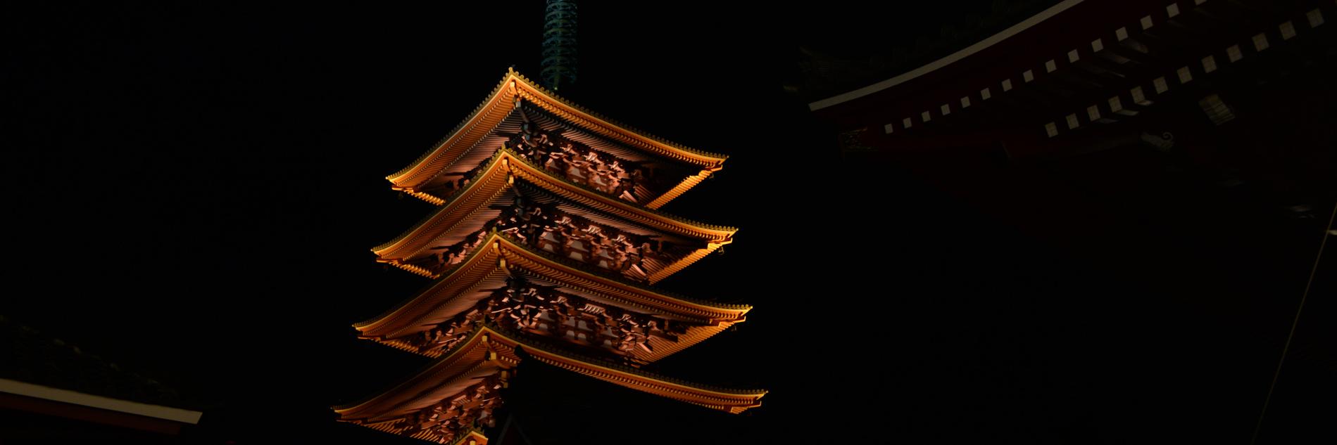 anainesmora's profile banner image