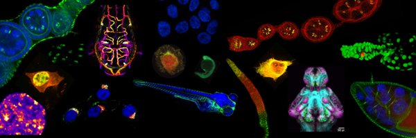 YaleGenetics Profile Banner