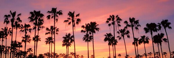 Guardiola31337 Profile Banner