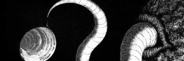 SethWade4Real Profile Banner