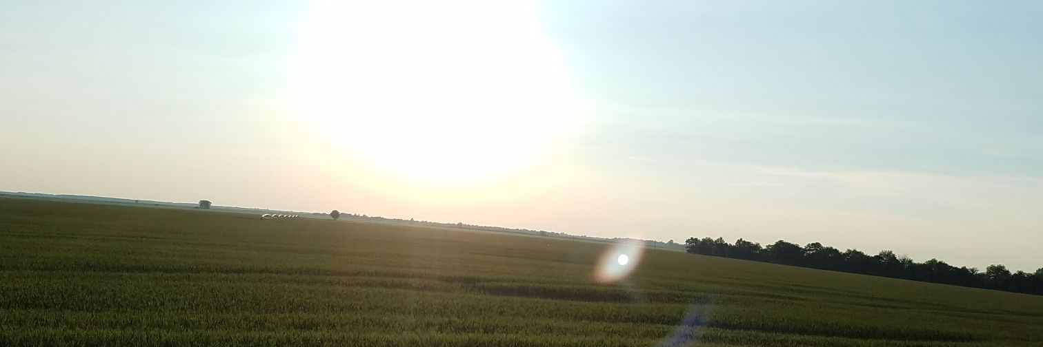 leedavis1997's profile banner image