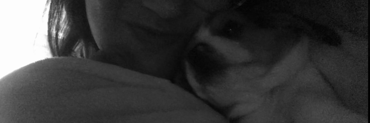 c banner
