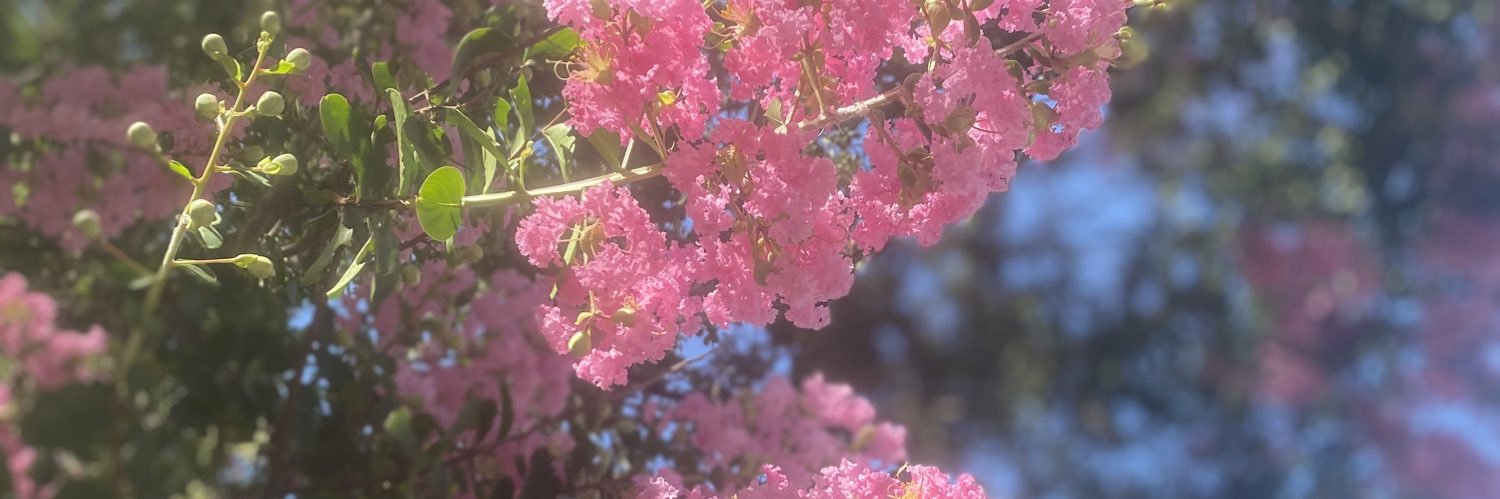 Sarahhh_Macc's profile banner image