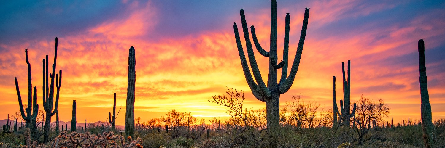 Women in Data Science - Tucson banner