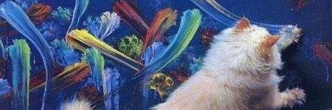 C𝓱u𝓼𝓪 D𝓮 𝒜rc𝓸 🔥 banner