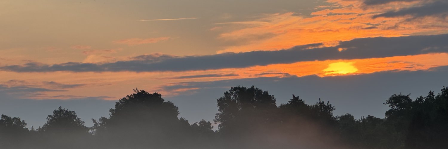 mrssfd990's profile banner image