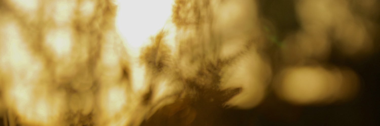boxlogohoodiess's profile banner image