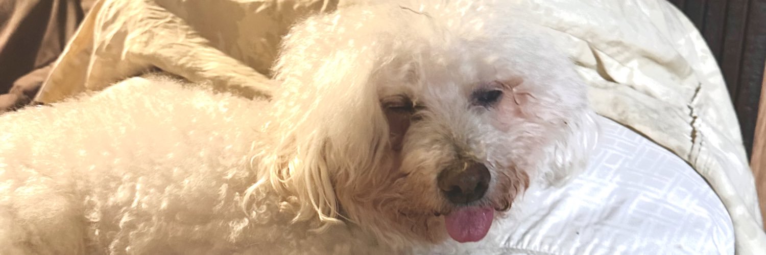 a sad little man banner