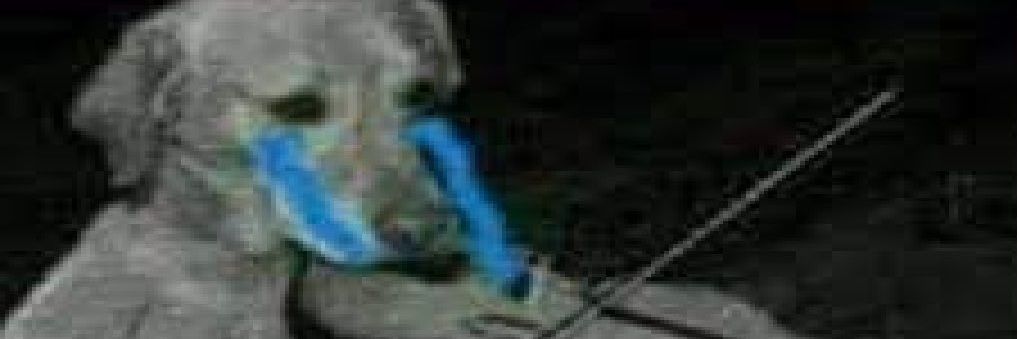 Guth banner