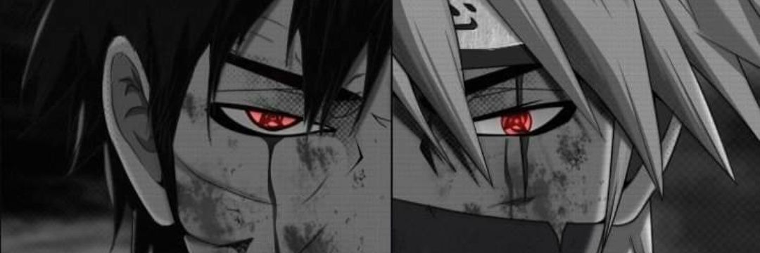 Sylvio banner
