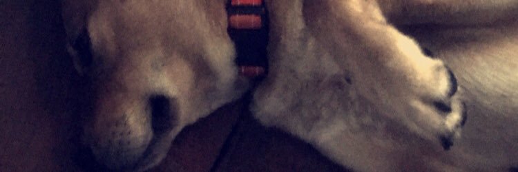 naaaynaaaay's profile banner image