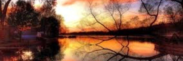 MattieOReilly's profile banner image