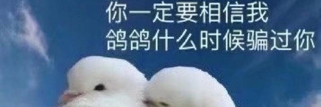 🕊Hampoo Latex🕊 banner