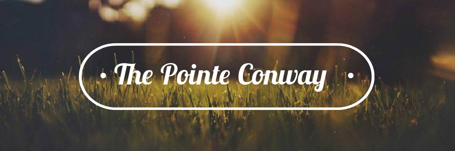 PointeConway's profile banner image